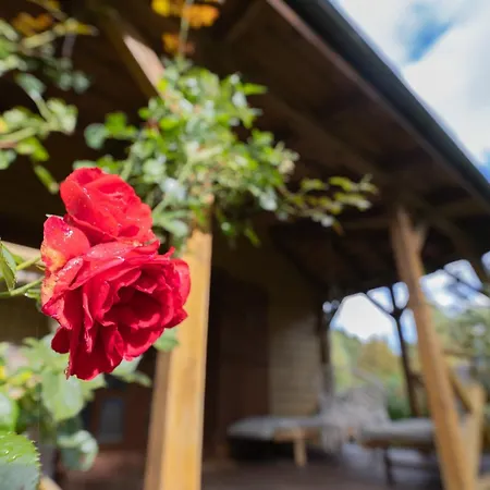 W Kratke & * Białogóra