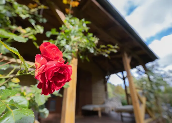 W Kratke & * Białogóra